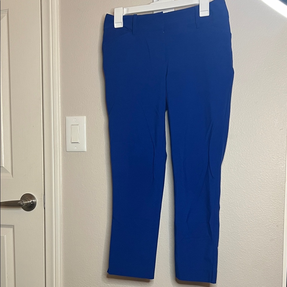 New York & Company Vibrant Blue Cropped Pants